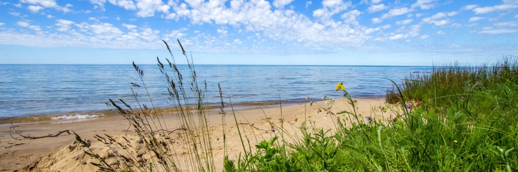 Beach front